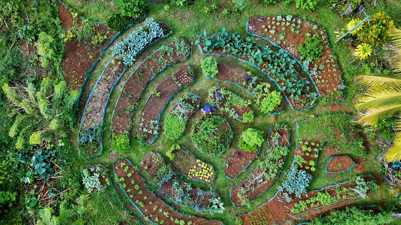 permaculture garden